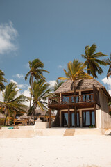 Luxurious beachfront bungalow with palm trees in zanzibar, tanzania