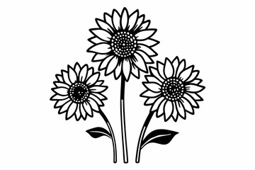 black and white flower