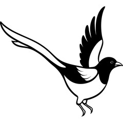 silhouette of a bird