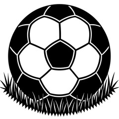 Obraz premium soccer ball vector