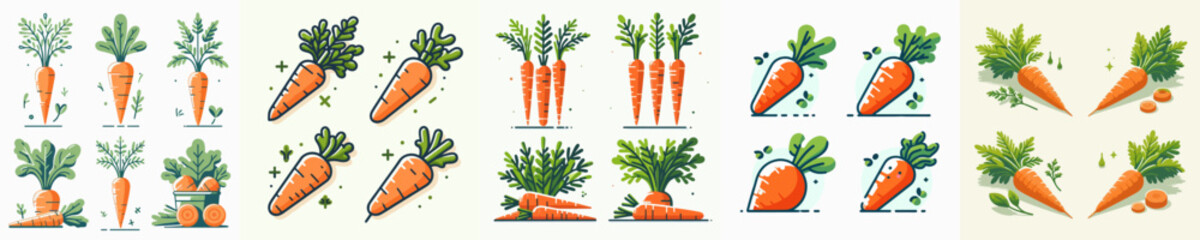 vector collection of fresh and delicious carrot vegetables