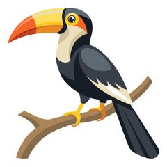 Hornbill bird stay in branch of tree  shilhotee vector isolated on white background 