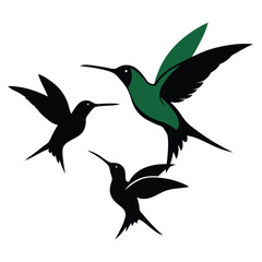 Hummingbirds flying in the sky  shilhotee vector isolated on white background 