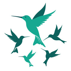 Hummingbirds flying in the sky  shilhotee vector isolated on white background 