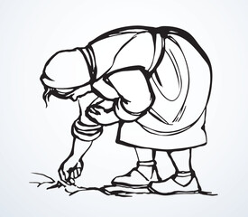 Vector drawing. Old woman in the field