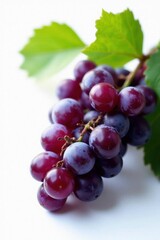 Fototapeta premium Dark purple globe grapes, bright white background, close-up, details, food, natural