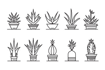 Aloe Vera line art icon set