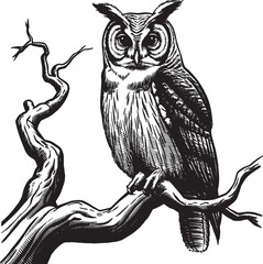owl sitting on a branch