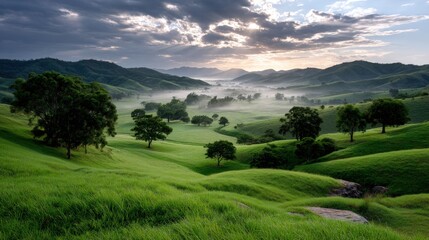 Obraz premium Sunset over misty rolling hills with scattered trees