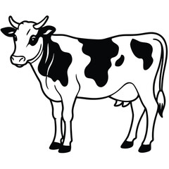 black and white cow