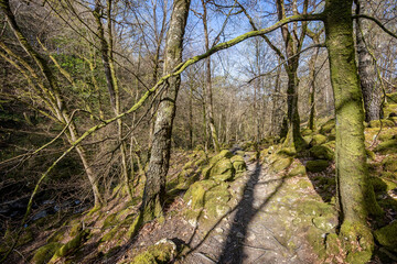 Rocky footpath along the river Clywedog under a woodland canopy, part of the Torrent Walk near Dolgellau, Wales, UK
