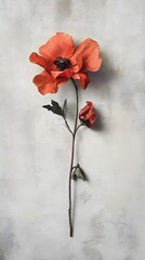 Poppy's Delicate Beauty: A singular vibrant poppy flower, its delicate petals fully unfurled, showcases nature's exquisite artistry. The image is framed against a soft, textural backdrop.