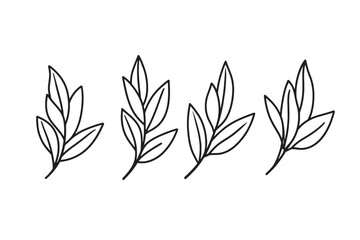 Bay Leaves Icon in Line Style