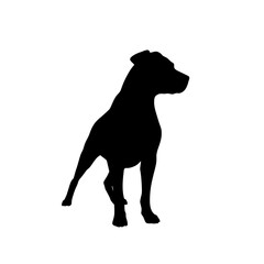 Elegant Black Dog Silhouette Graphic with Minimalist Design for Pet-Related Promotions, Art Prints, and Creative Marketing Campaigns