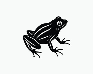 frog green jumping amphibian vector illustration design 