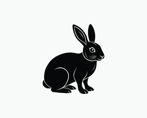 rabbit cute fluffy bunny vector illustration design 