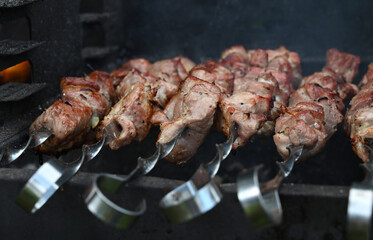 Ruddy meat is grilled on the barbecue coals