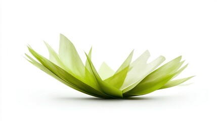 Obraz premium A clear photo of a green flower against a white backdrop, reflecting light at its base