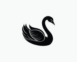 swan elegant long neck bird vector illustration design 