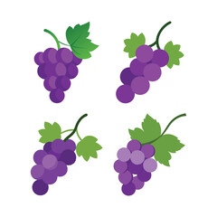 A set of colorful grape vine vector art illustration