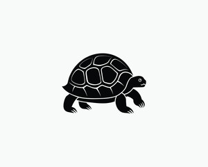 tortoise slow shell reptile vector illustration design 