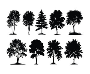 Fototapeta premium Birch Tree Silhouettes EPS Vector Template