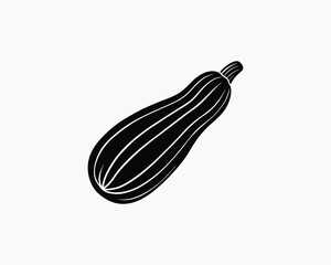 zucchini green garden squash vector illustration design 