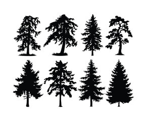Fototapeta premium Cedar Tree Silhouette EPS Vector Template