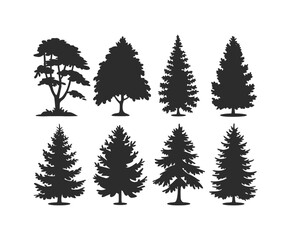 Obraz premium Cedar Tree Silhouette Set in Vector EPS Format