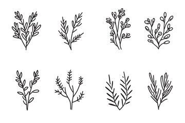Caraway Seeds Icon Minimalist Line Art Design