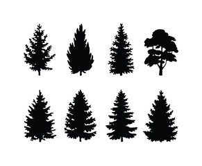 Obraz premium Vector Silhouette of Natural Cedar Tree on White Background