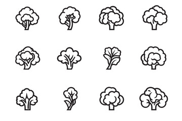 Obraz premium Cauliflower Icon Line Art Minimalist Set