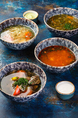 Different soups and sauses from different countries cousine with vegetables or meat