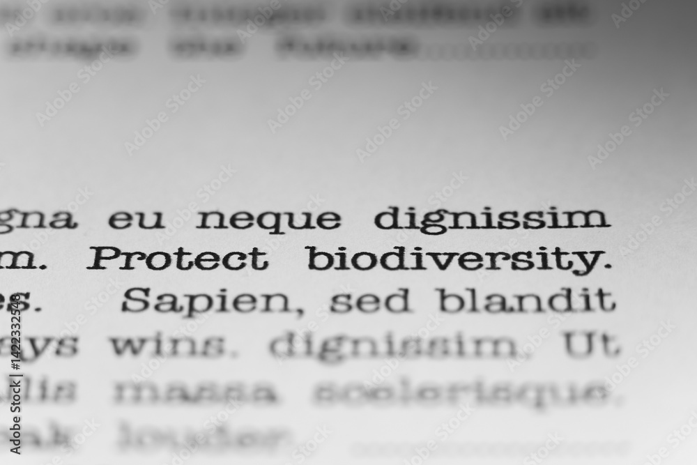 Fototapete protect biodiversity. text printed on a page. a piece of paper with a phrase written in retro typewr