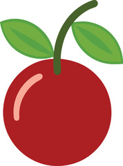 Cherry  icon isolated on transparent background