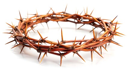 Fototapeta premium Crown of thorns isolated on white background