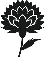 China aster silhouette icon on transparent background