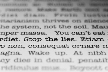 Stop the lies. Text printed on a page. A piece of paper with a phrase written in retro typewriter font.