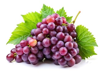 Fototapeta premium Fresh grape vine isolated on white background