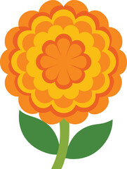 Merigold flower isolated on transparent background.