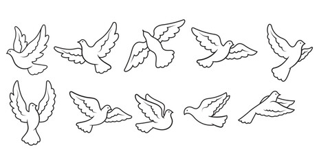 Pigeon illustration, Pigeon of peace flying vector image on