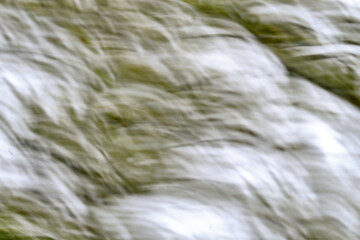 Abstract of nature using white cherry blossoms and green leaves
