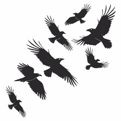 Black raven silhouettes in flight, scattered randomly on a white background
