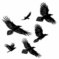 Black raven silhouettes in flight, scattered randomly on a white background
