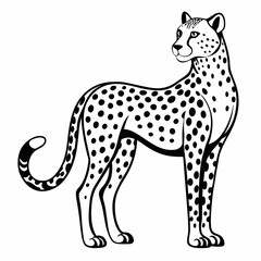 giraffe vector illustration