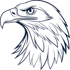 american bald eagle