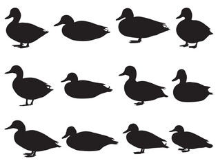 WATERFOWL BIRD SILHOUETTE