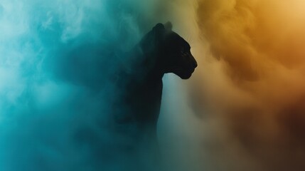 Fototapeta premium A clear photo of a black cat's head against a blue-yellow background with clouds in the foreground
