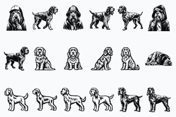 Fototapeta premium Spinone Italiano SVG Bundle