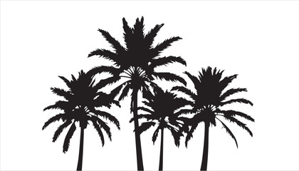 Palm Tree Silhouette on White Background